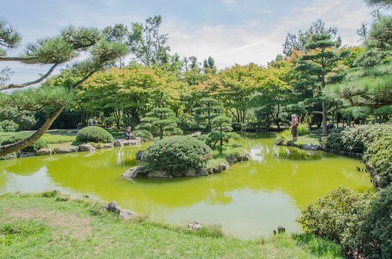 Jardin japonais